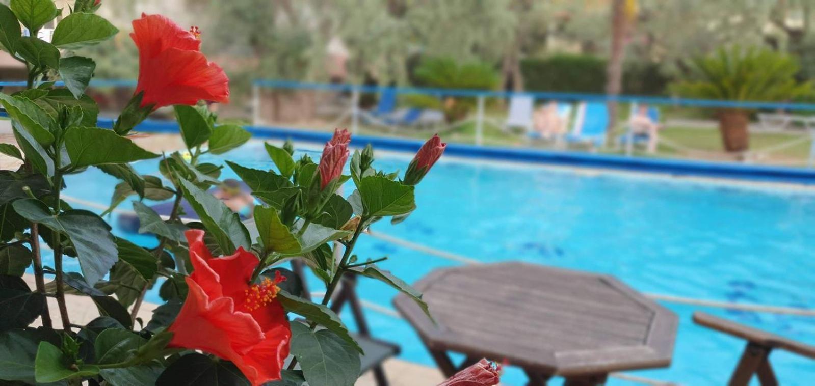 Tsigoura Verde Resort Mikros Prinos Экстерьер фото